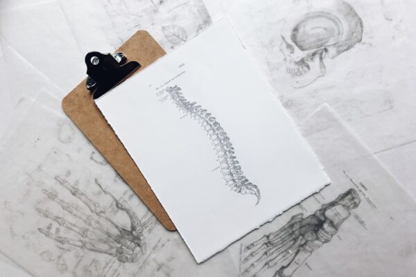 Photo spine massage